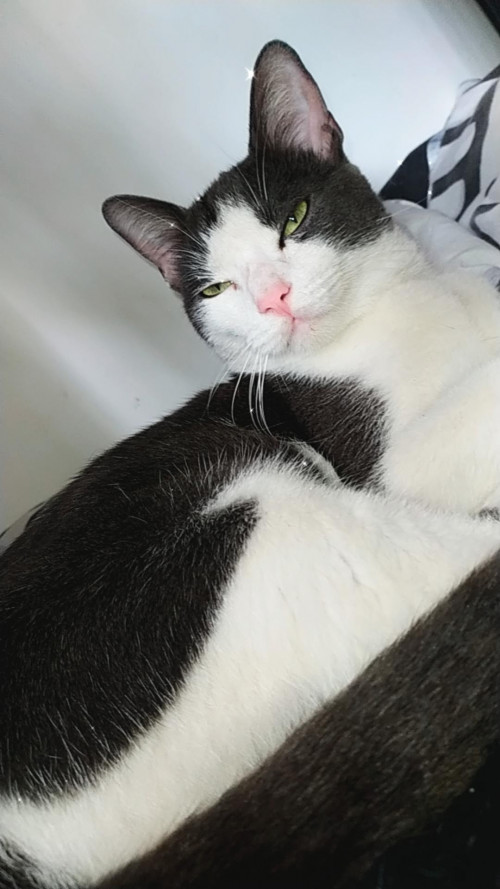 Billy