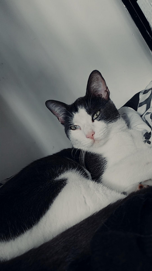 Billy