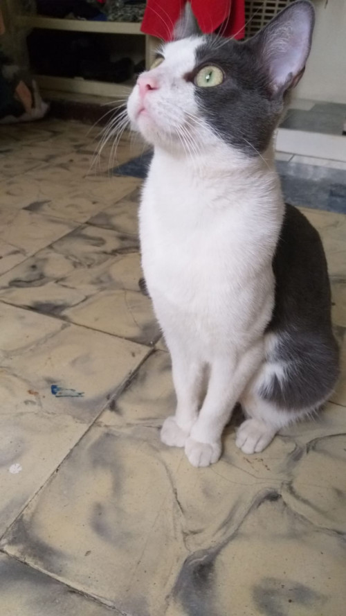 Billy