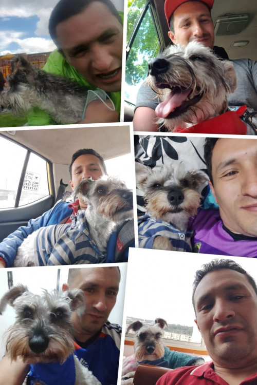 Baloo
