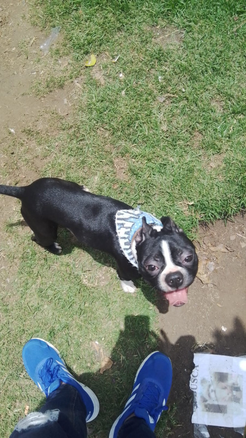 Rocky