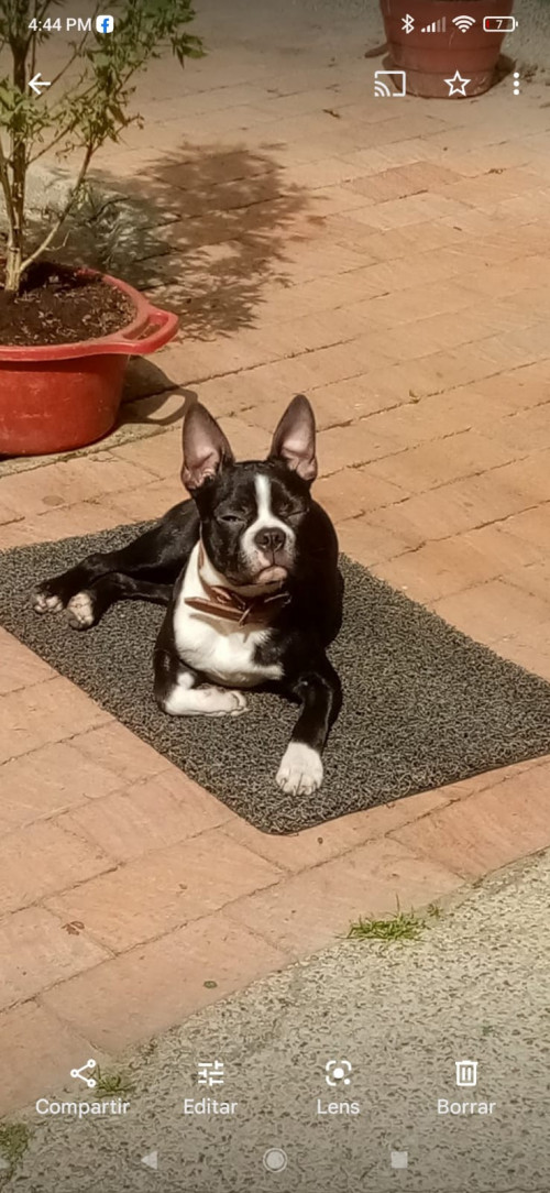 Rocky