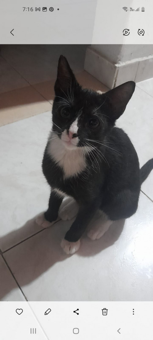 Chiqui
