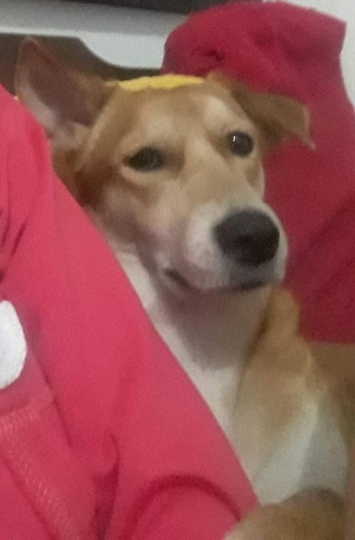 Kira