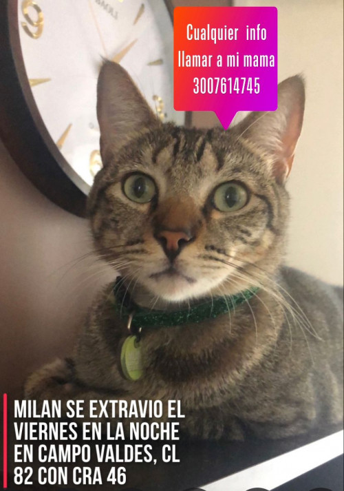 Milán