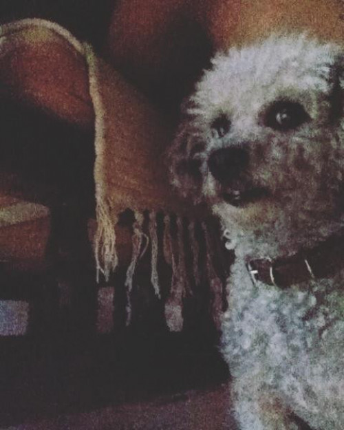 Dunna