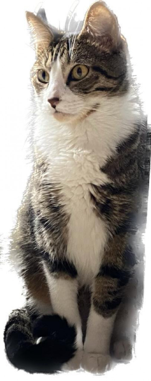 Ragnar
