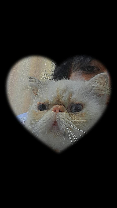 Chebeto