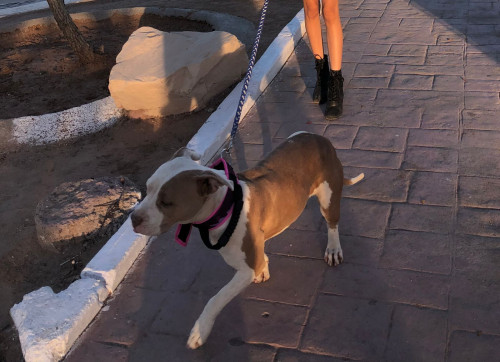 Lucia Y Luna