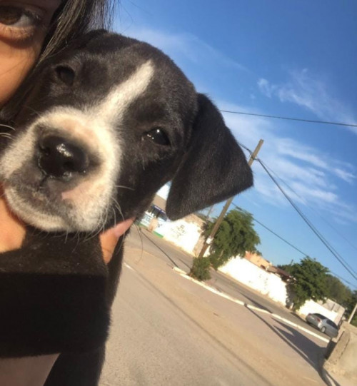 Lucia Y Luna