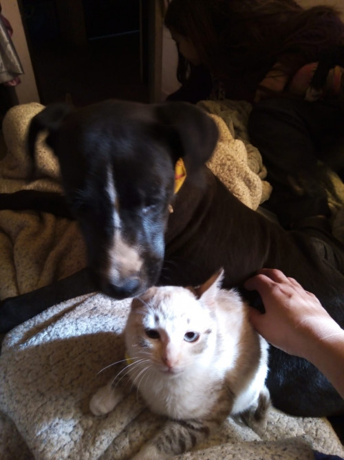 Lucia Y Luna