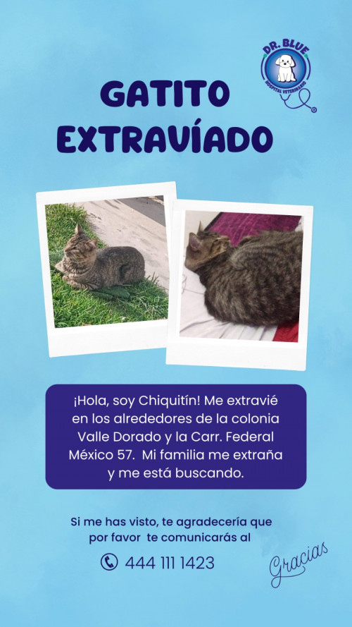 Chiquitín