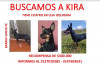 Foto de Kira en Cali Valle del Cauca #7