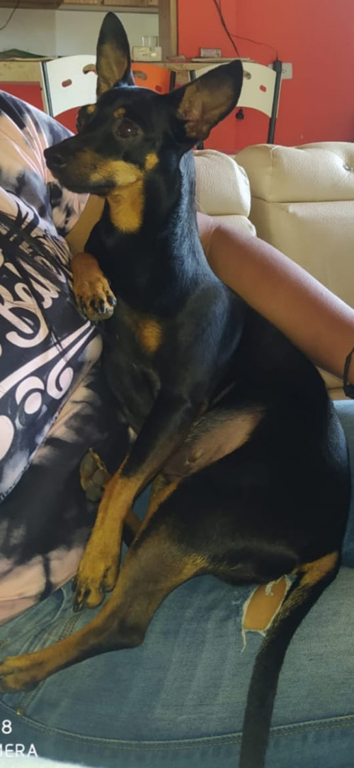 Kira