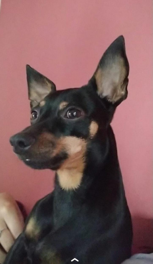 Kira