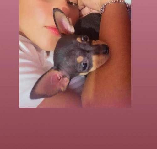 Roly