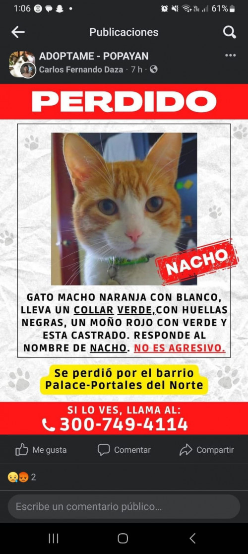 Nacho