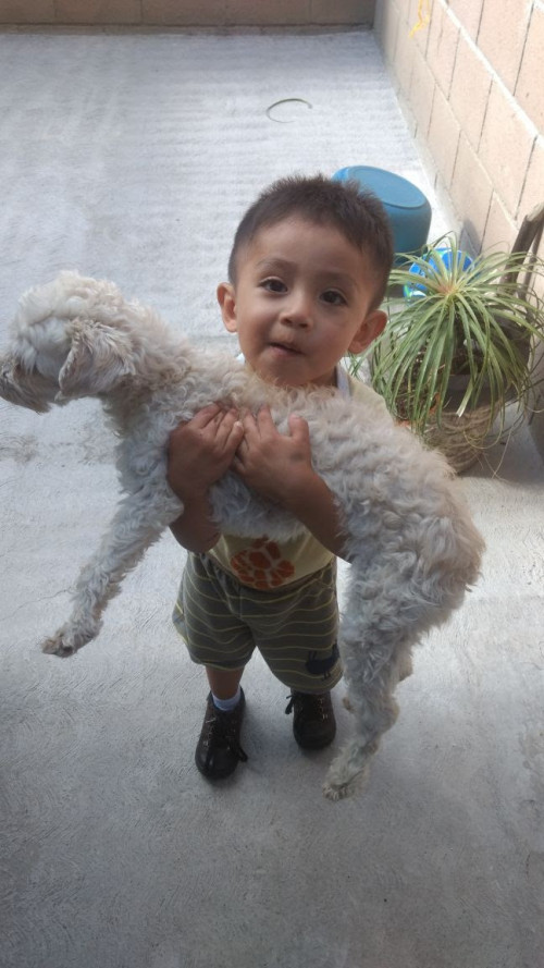 Pita