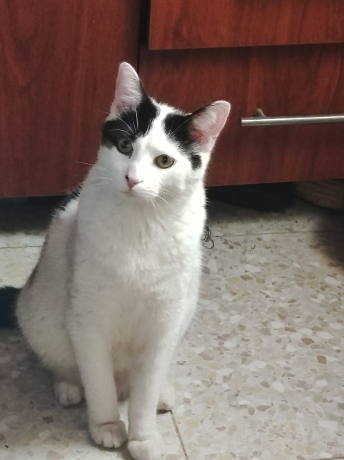 Tim