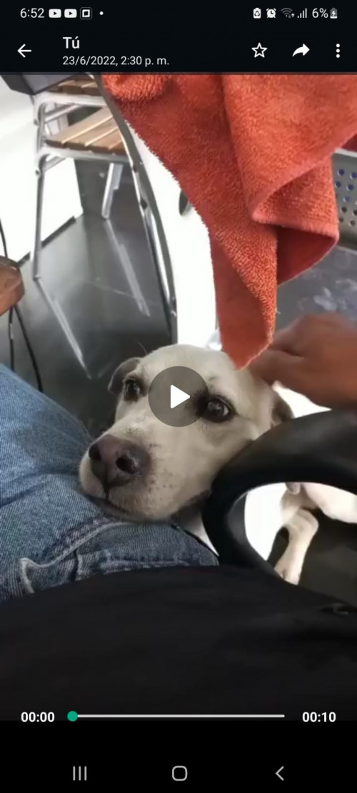 Pancho