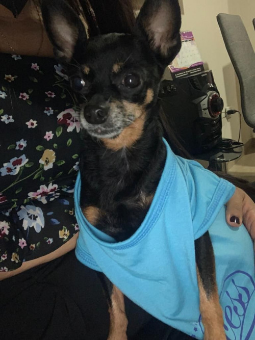 Milú