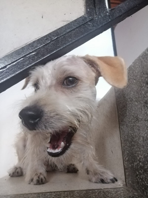 Zeus