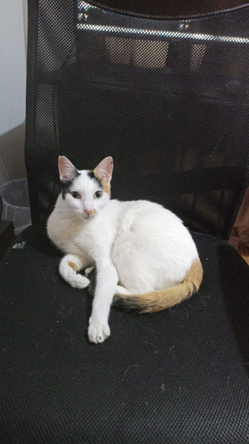 Luna