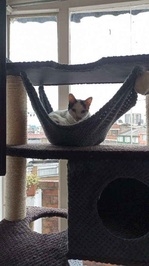 Luna