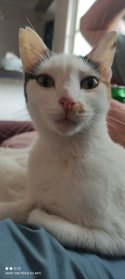 Luna
