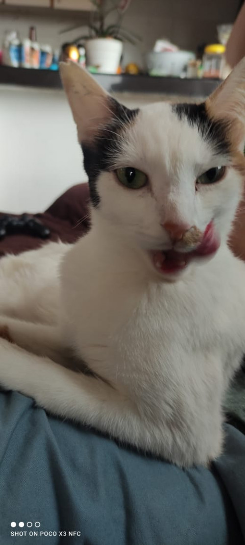 Luna