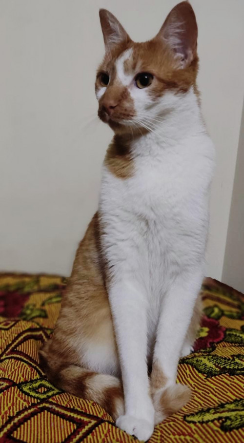 Eros