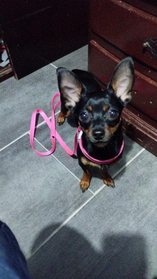 Samy