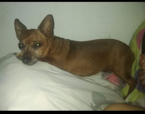 Lola