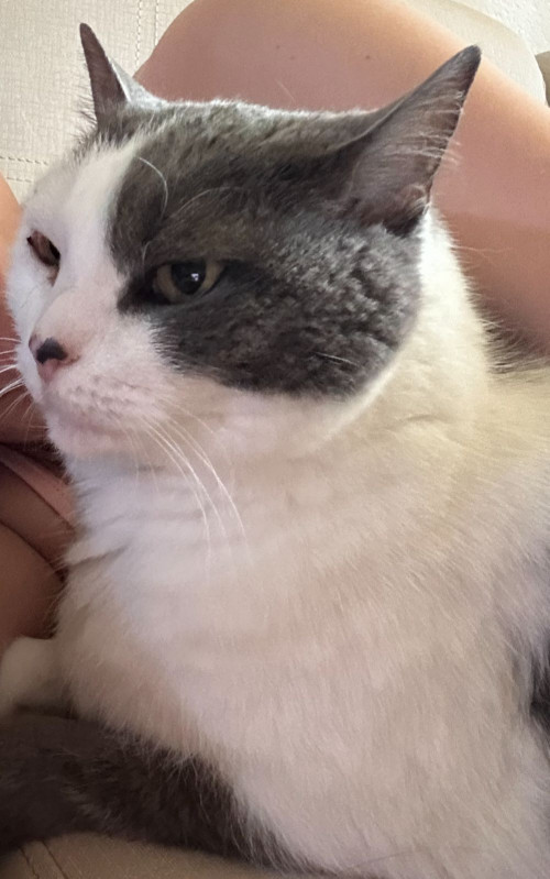 Kira