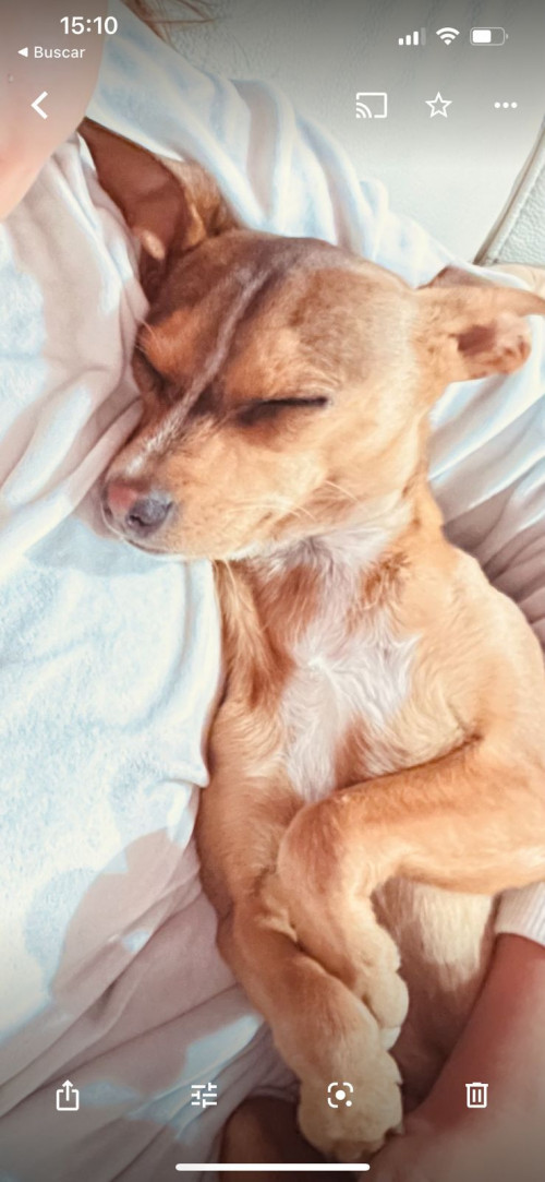 Max