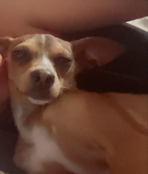 Max