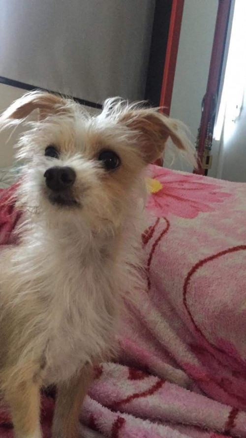 Taki