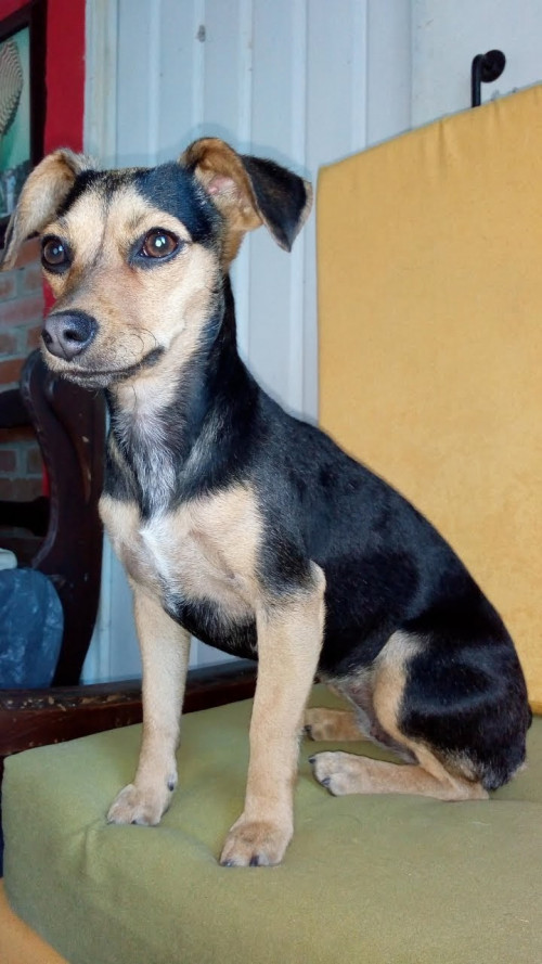 Sachita