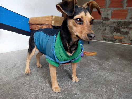 Sachita