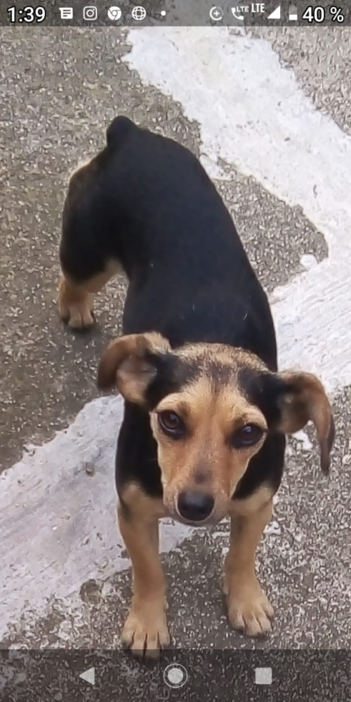 Sachita