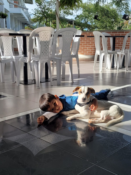 Mailo