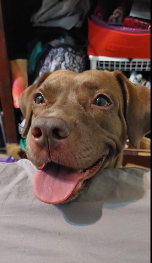 Nala