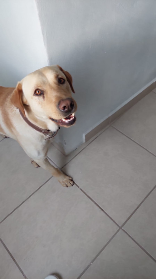 Hueso Y Sirkan