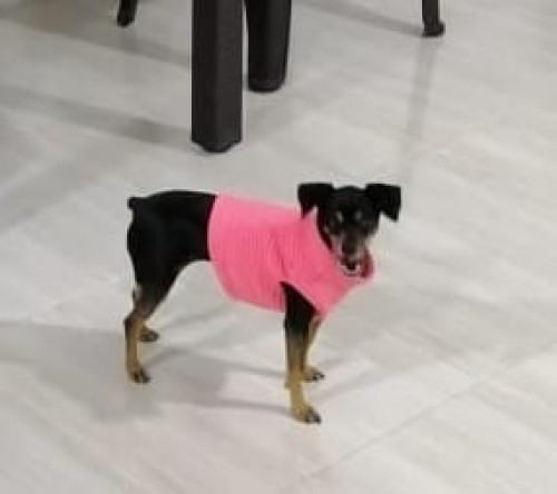 Luna