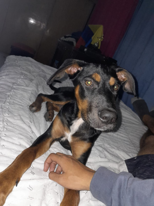 Luna