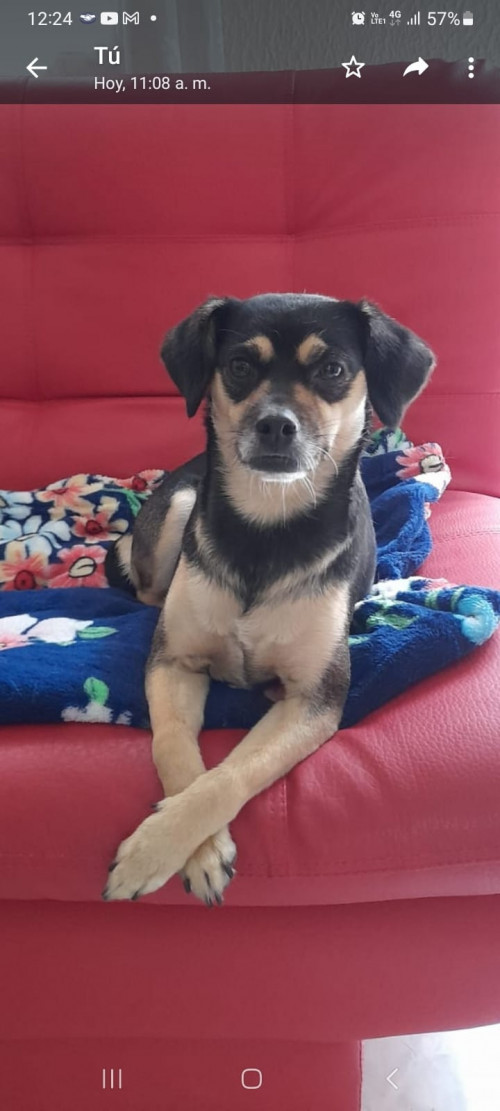 Minnie