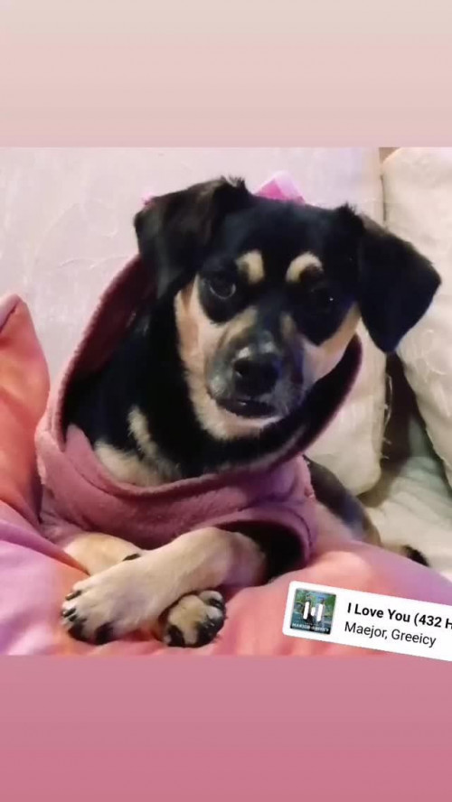 Minnie