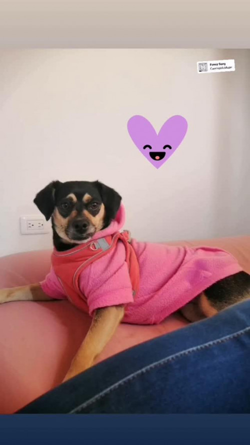 Minnie