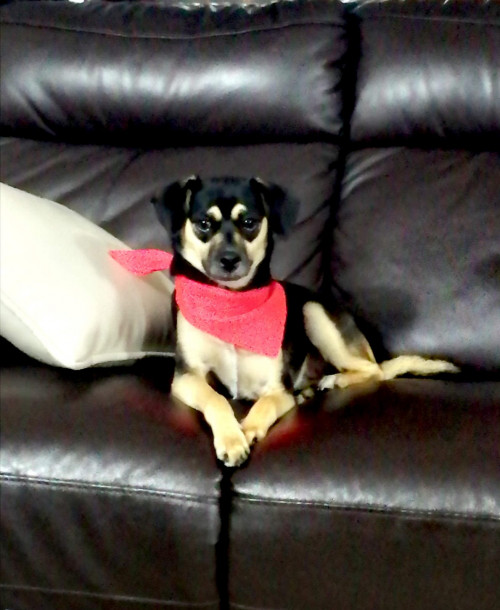 Minnie