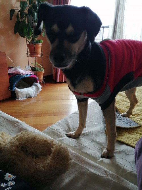Minnie